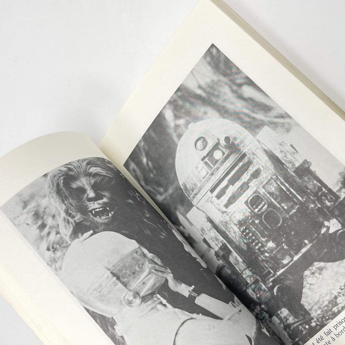 Vintage Buena Vista Star Wars Non-Toy Making of Star Wars to Jedi French Paperback (1983)