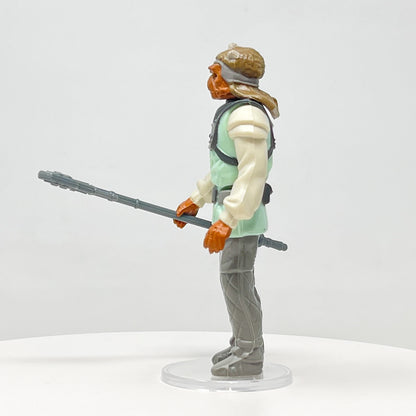 Nikto Loose Complete
