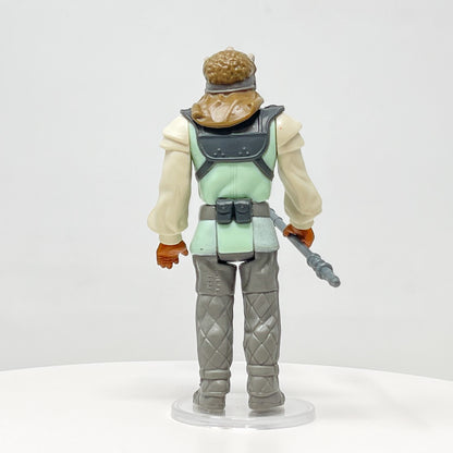Nikto Loose Complete