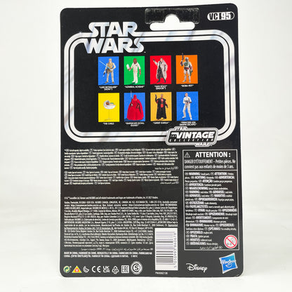 VC095  Luke Skywalker (Hoth Outfit) 2021 - Hasbro Vintage Collection