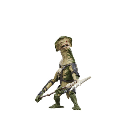 Pre-Order VC419 Amani Guard (Deluxe) - Hasbro Vintage Collection (2026)