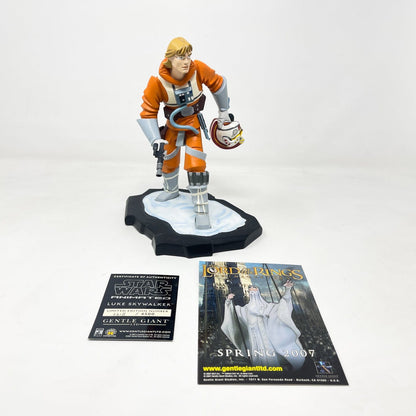 Vintage Gentle Giant Star Wars Statues & Busts Luke Skywalker - Animated Limited Edition Maquette - Gentle Giant Statue (2007)