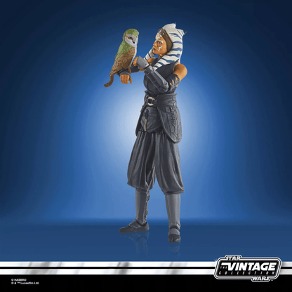 Vintage Hasbro Star Wars Modern MOC Ahsoka Tano & Grogu with Morai (Deluxe) - The Vintage Collection Hasbro Star Wars Figure