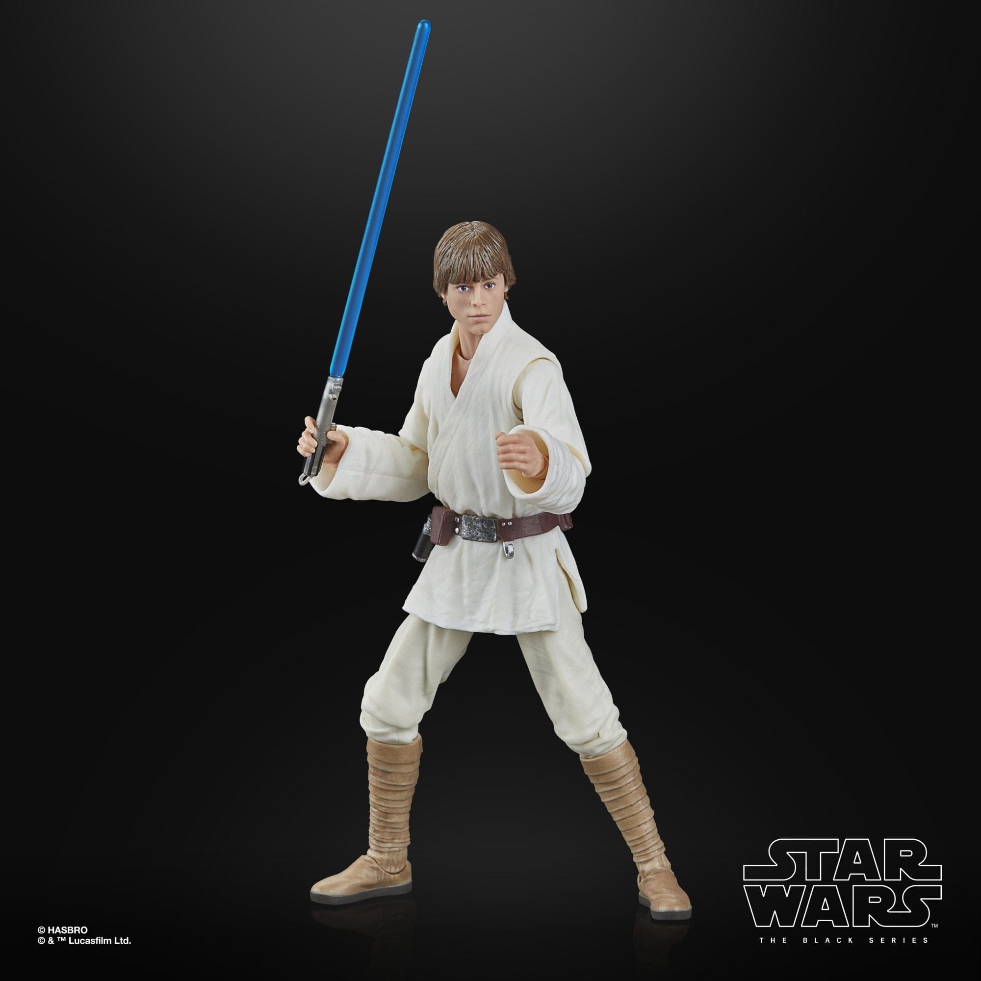 Hasbro 2025 Luke Skywalker ANH Black Series Star Wars Figure – 4th