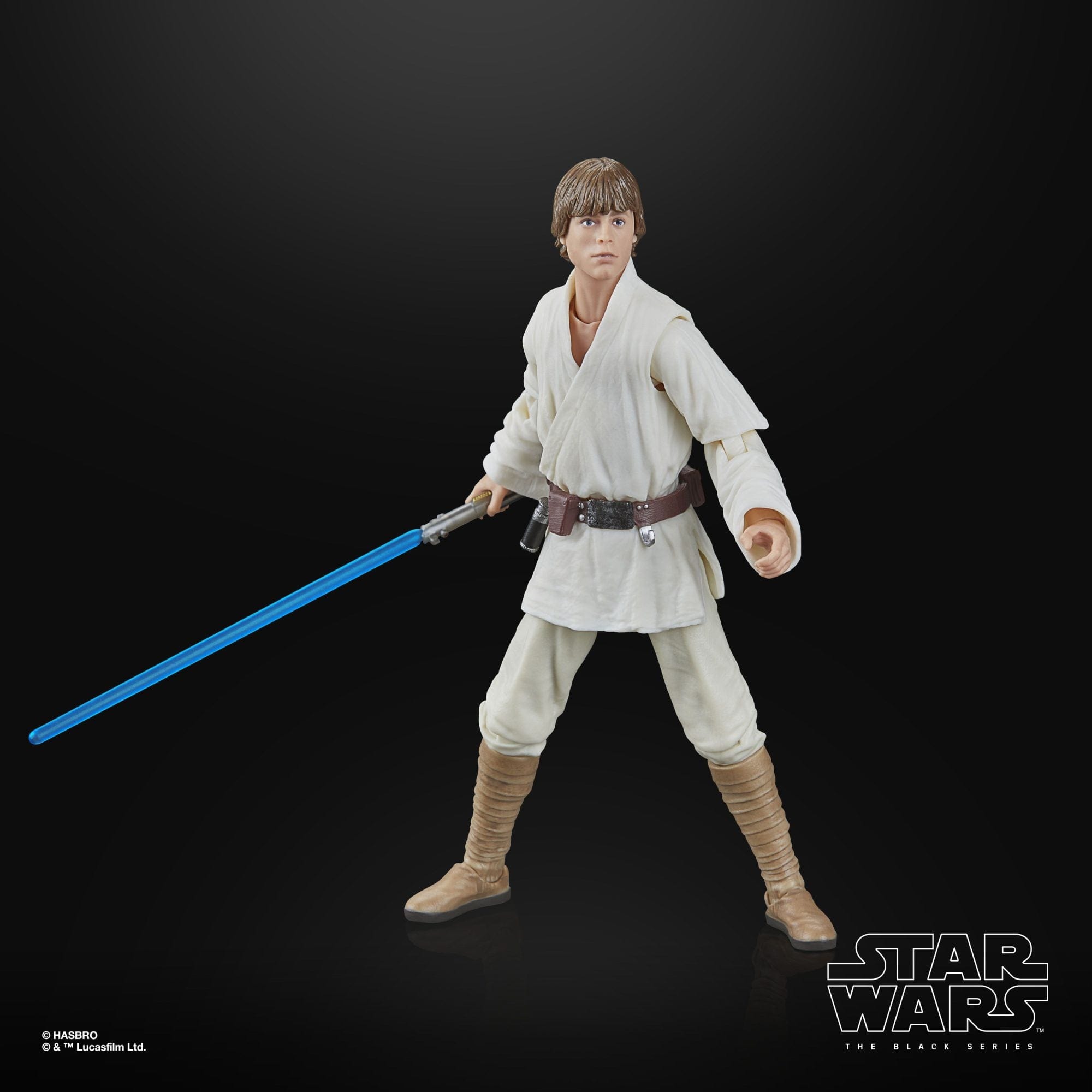 Hasbro 2025 Luke Skywalker ANH Black Series Star Wars Figure – 4th