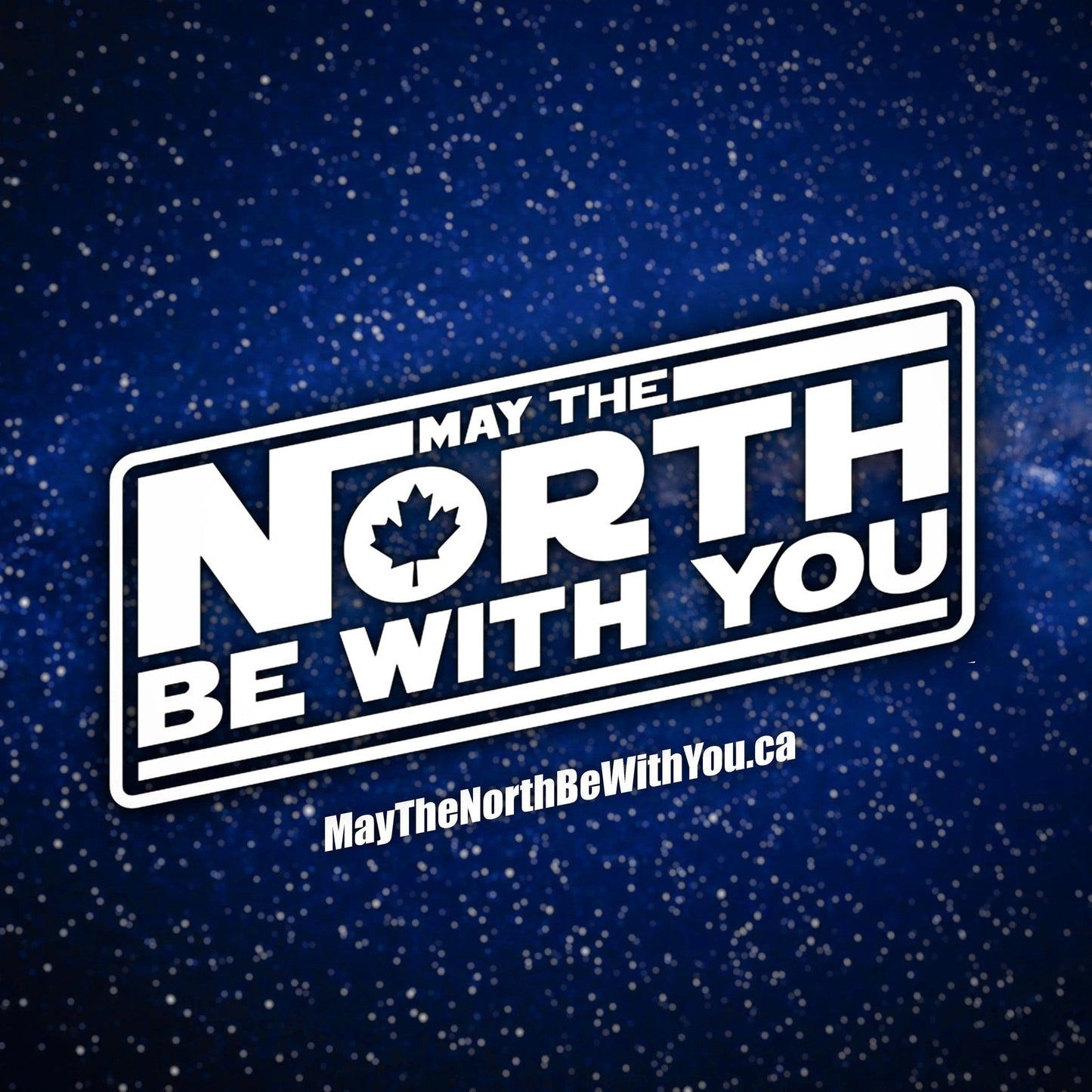 Vintage MTNBWY Star Wars Ticket Sponsor Ticket - May The North Be With You
